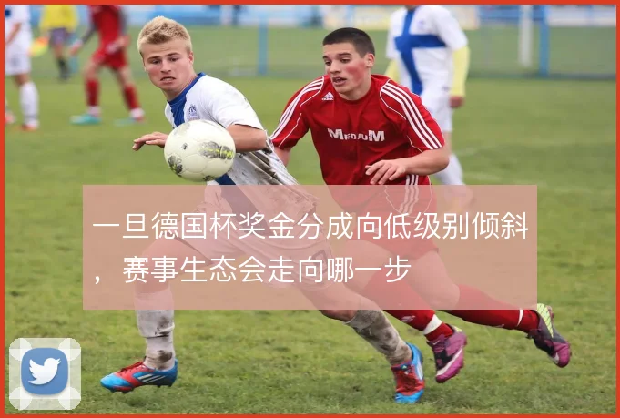 一旦德国杯奖金分成向低级别倾斜,赛事生态会走向哪一步