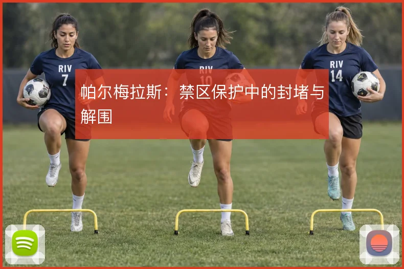 帕尔梅拉斯：禁区保护中的封堵与解围