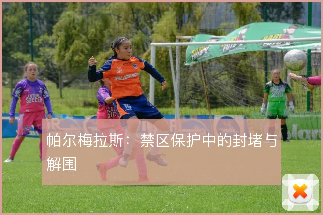 帕尔梅拉斯：禁区保护中的封堵与解围